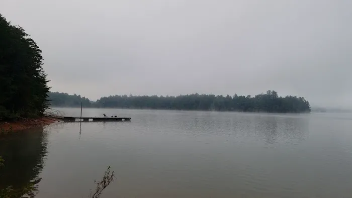 My Carpet Cleaners & Restoration Services Picture 3