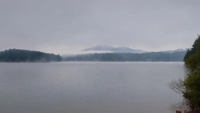 My Carpet Cleaners & Restoration Services Picture 4