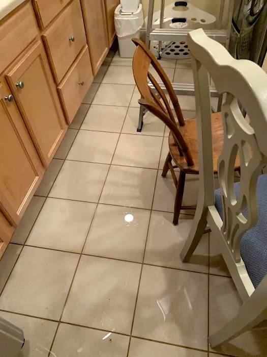 Bulldog Restoration Picture 4