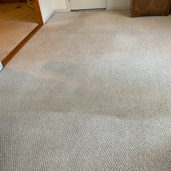 Bulldog Restoration Picture 3