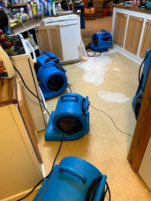 Bulldog Restoration Picture 2