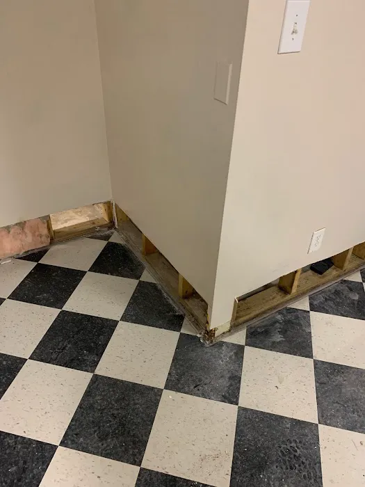 Bulldog Restoration Picture 1