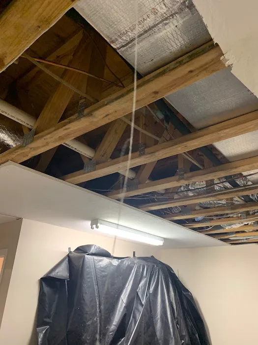 Bulldog Restoration Picture 5