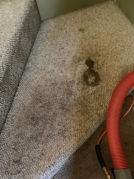 Bulldog Restoration Picture 6