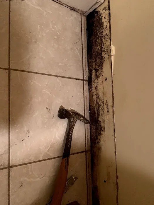 Bulldog Restoration Picture 10