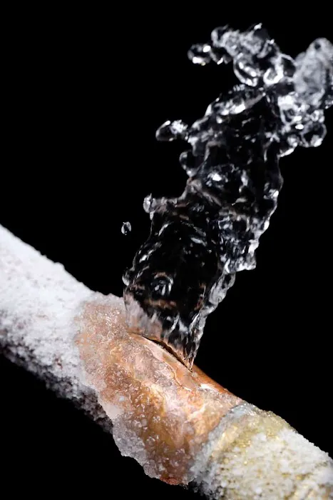 MGL Property Professionals Picture 5