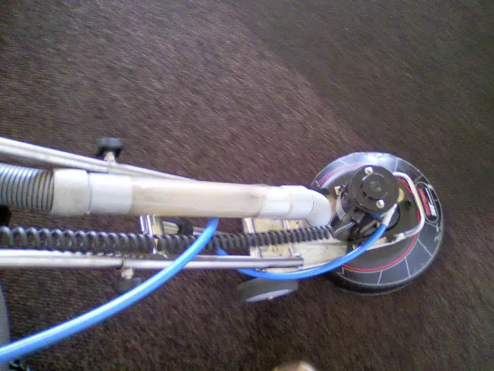 Bulldog Restoration Picture 2