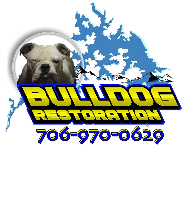 Bulldog Restoration Picture 3