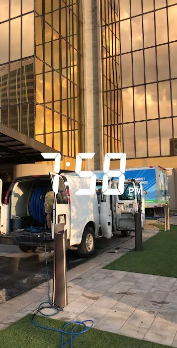 Enviroclean Carpet Care Picture 1