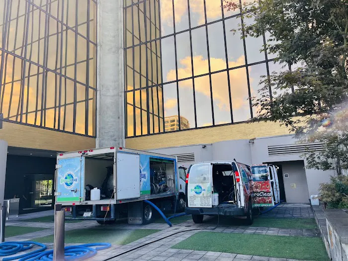 Enviroclean Carpet Care Picture 5