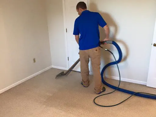 A World of Difference Carpet Cleaning Picture 6