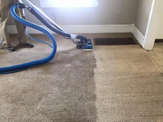 A World of Difference Carpet Cleaning Picture 2