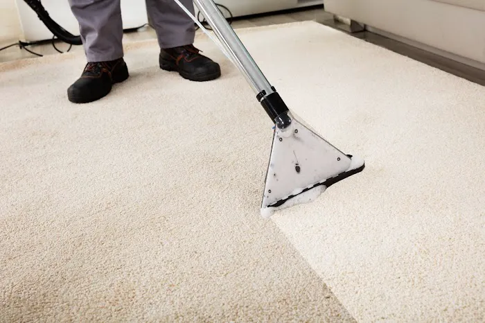 A World of Difference Carpet Cleaning Picture 5