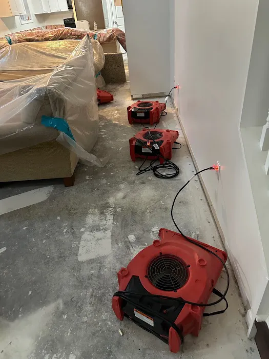 Reedy Restoration Picture 1