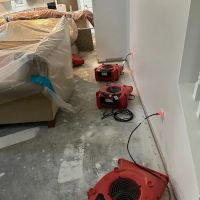 Reedy Restoration ico