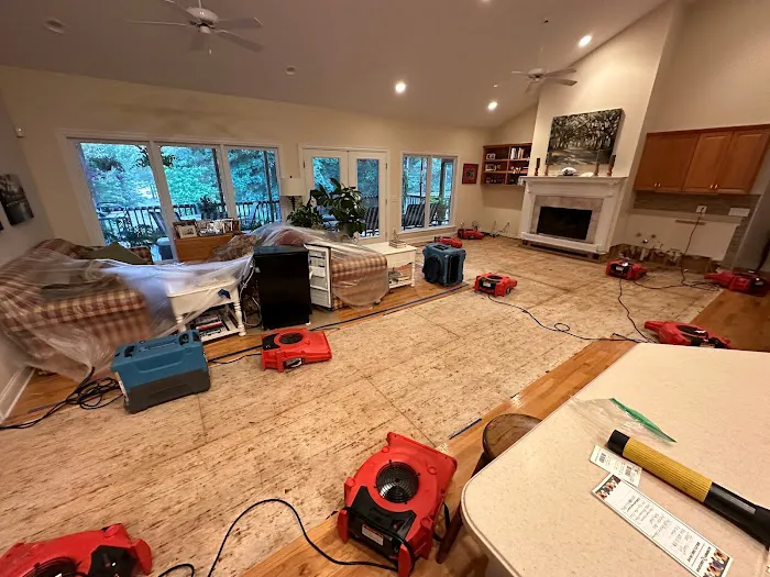 Reedy Restoration Picture 8