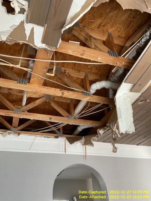 Reedy Restoration Picture 5