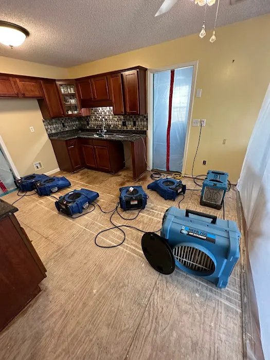 Reedy Restoration Picture 7