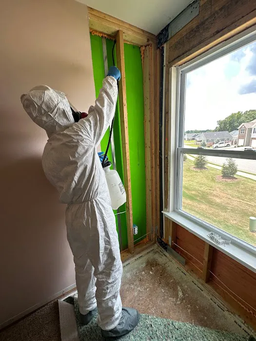 Reedy Restoration Picture 6