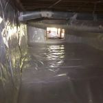 Crawl Space Ninja Greenville