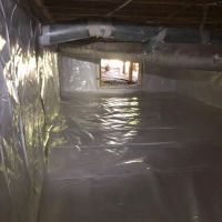 Crawl Space Ninja Greenville ico