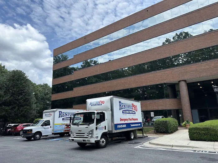 RestorePro Reconstruction Picture 2