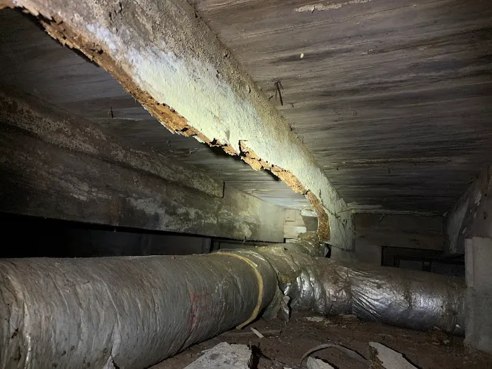 Crawlspace Medic of the Upstate Picture 5