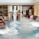 Property Plus - Water and Fire Damage Restoration