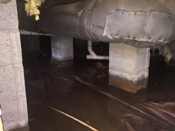 Foothills Moisture Solutions Picture 5