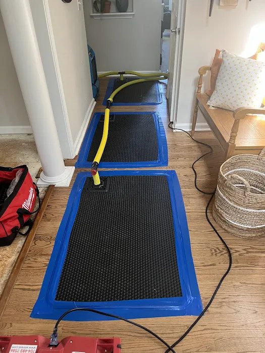 Local Home Restoration Picture 5