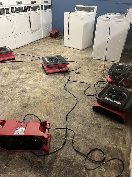 Local Home Restoration Picture 7