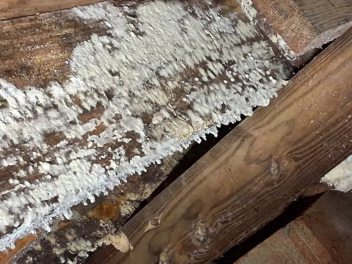 Affordable Restoration Services LLC Picture 3