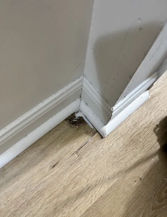 Affordable Restoration Services LLC Picture 9