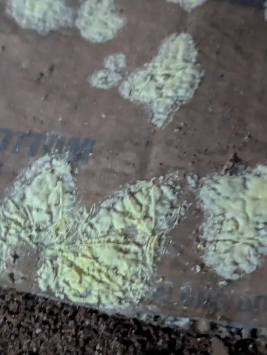 Affordable Restoration Services LLC Picture 10