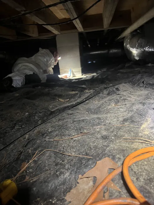 Broken Arrow Restoration Picture 5