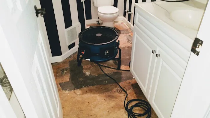 Disaster Doctors Picture 2