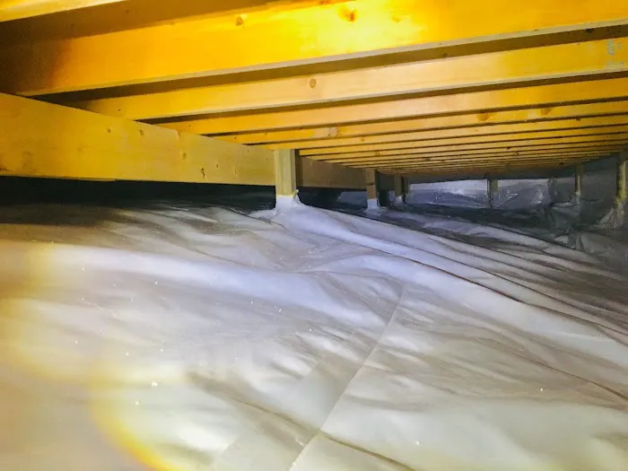 A Healthy Home Picture 2