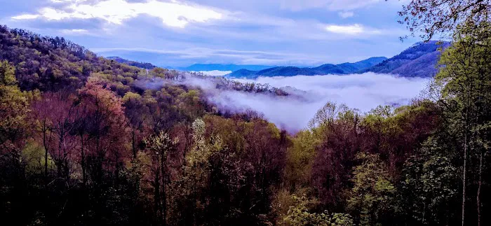 Mold-X, Inc. Picture 2