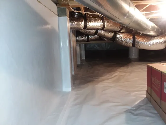 Mold-X, Inc. Picture 3