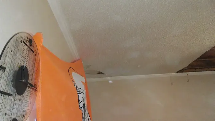 Prep,Prime and Ready to Paint Picture 1