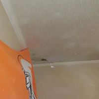 Prep,Prime and Ready to Paint ico