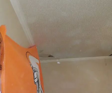 Prep,Prime and Ready to Paint