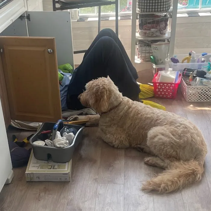 Roto-Rooter Plumbing & Drain Service Picture 5