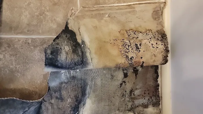 Recon Restoration Picture 4