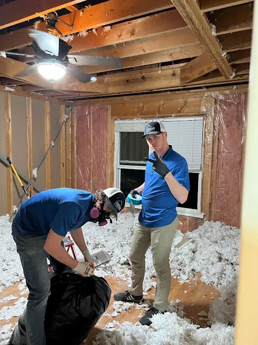 Rehab Restoration Picture 8