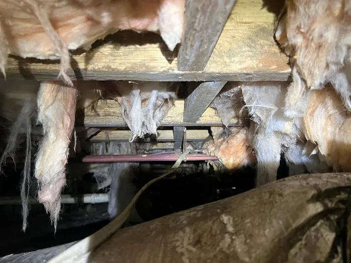 Healthy Home of Georgia Picture 5