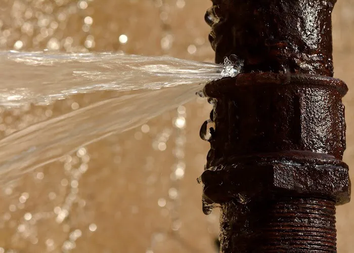 Buchanan Restoration Picture 4