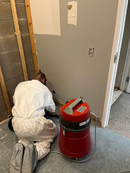 Buchanan Restoration Picture 6