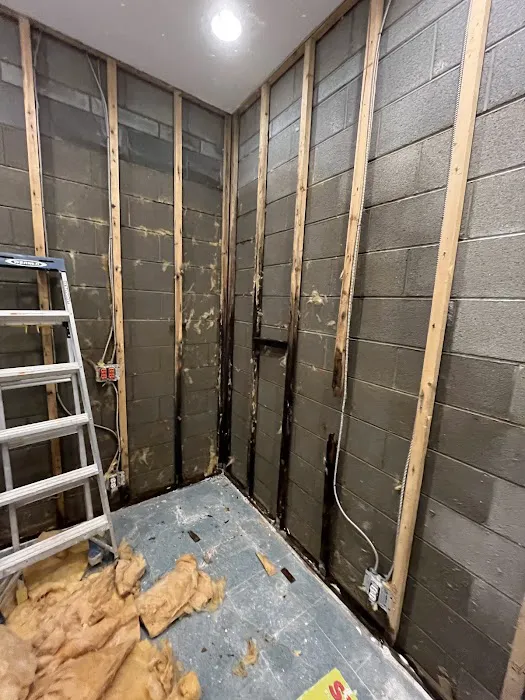 Buchanan Restoration Picture 10