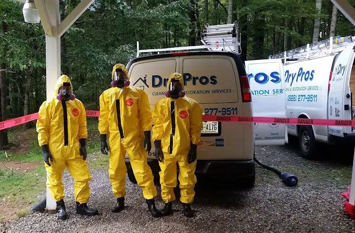 Dry Pros LLC Cleaning & Restoration Services Picture 3